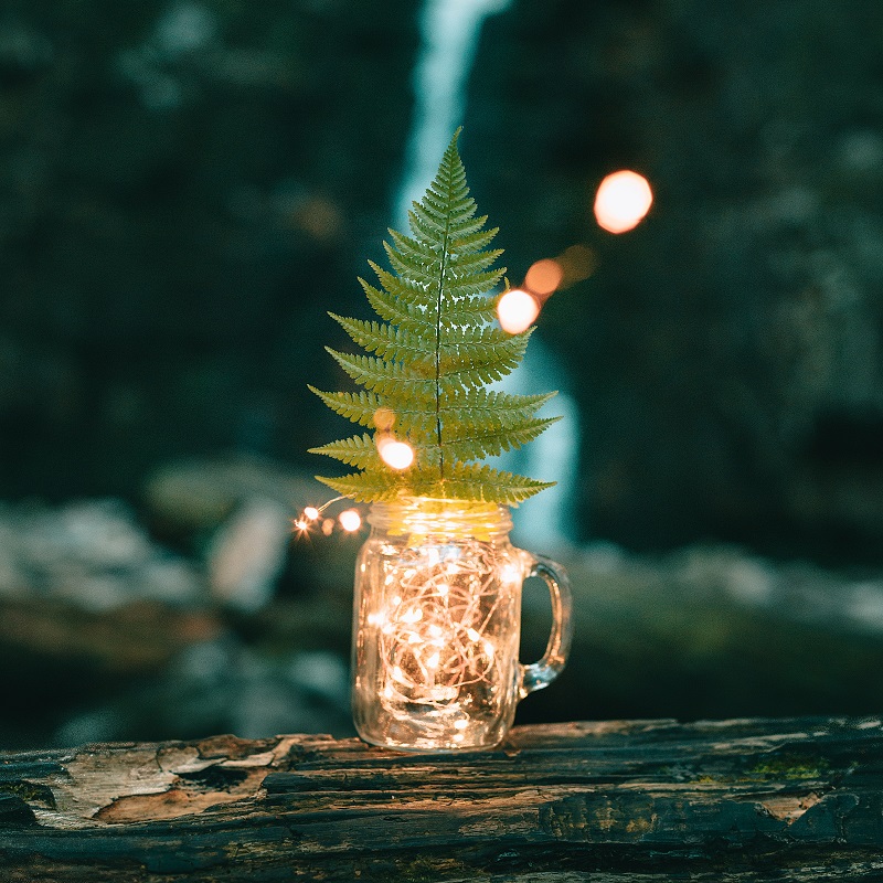 A mason jar mug filled with glowing fairy lights and a fern frond, sitting on a mossy log at dusk